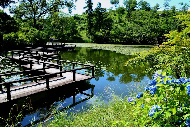 星のふるさと公園