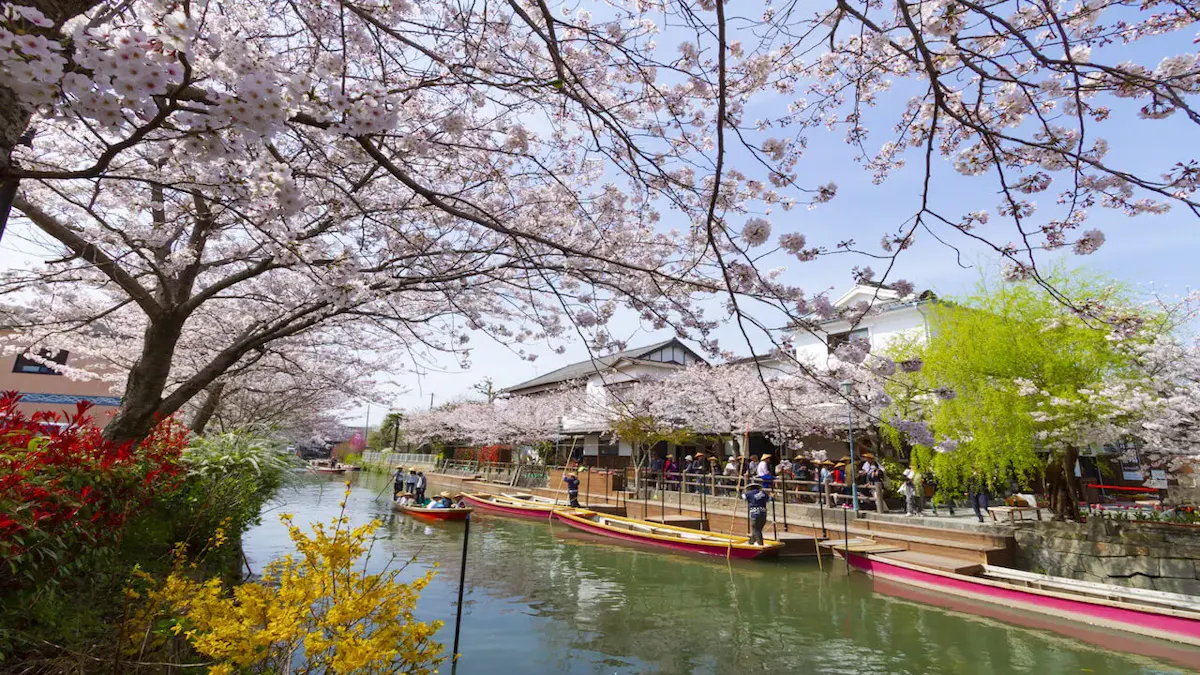 柳川川下り（写真 3）