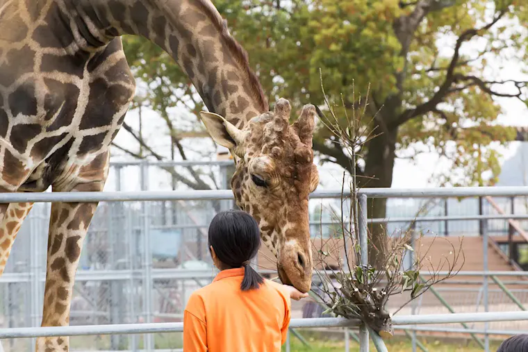 大牟田市動物園