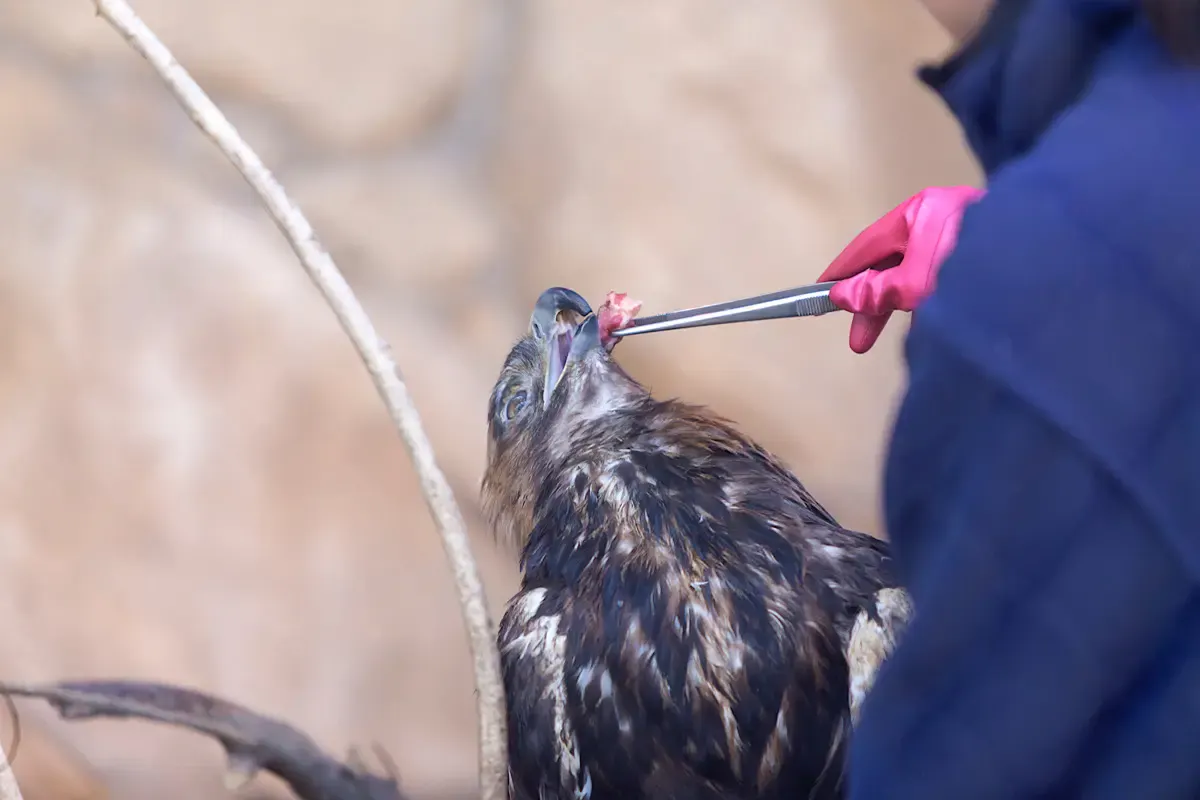 大牟田市動物園(写真 2)