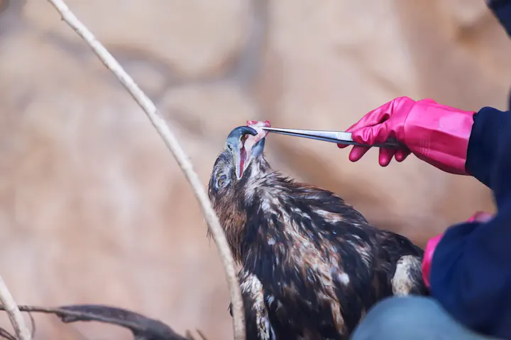エサやり体験で動物と触れ合う