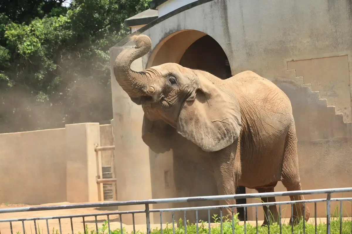 大牟田市動物園(写真 5)