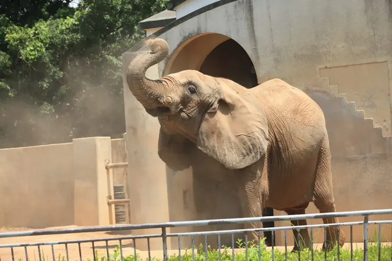 大牟田市動物園