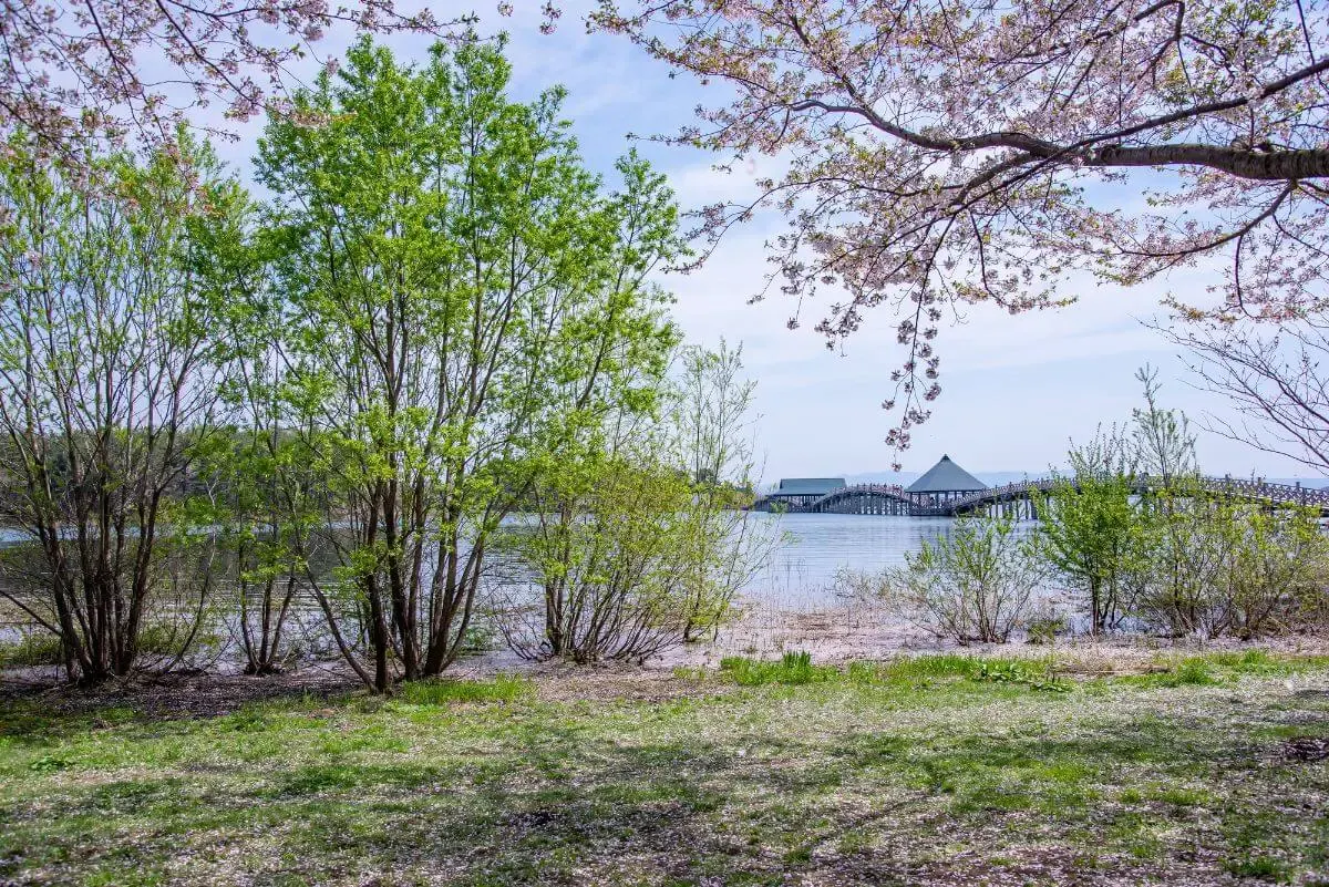 鶴の舞橋(写真 5)