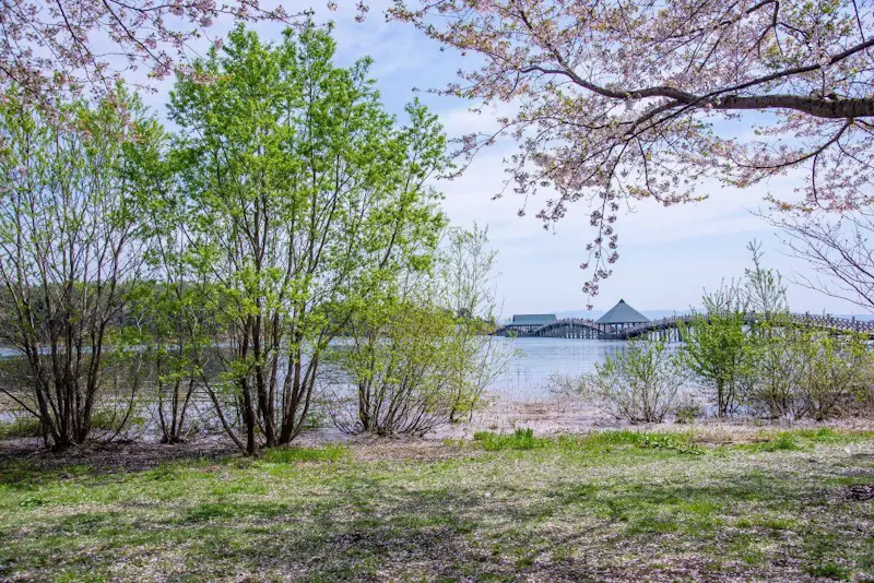 鶴の舞橋