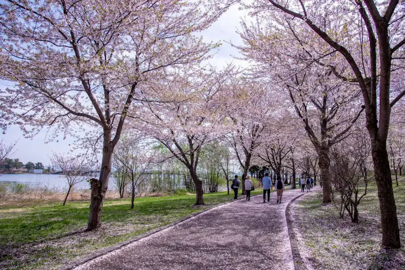 鶴の舞橋