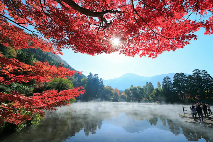 紅葉の名所「金鱗湖」で散歩・散策！