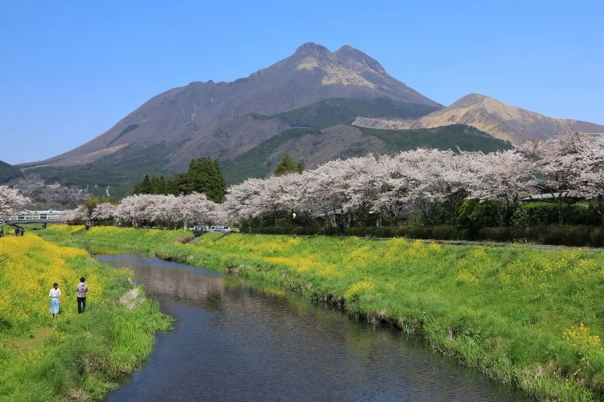 湯の坪街道(写真 2)