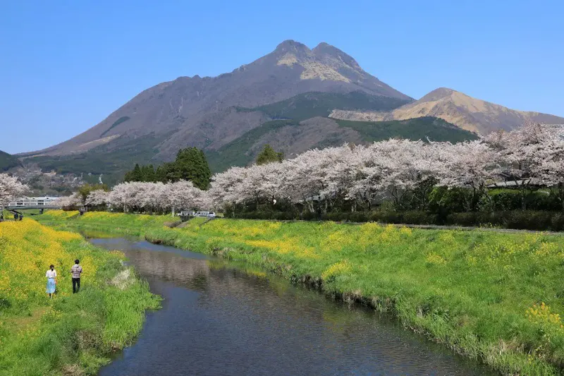 湯の坪街道
