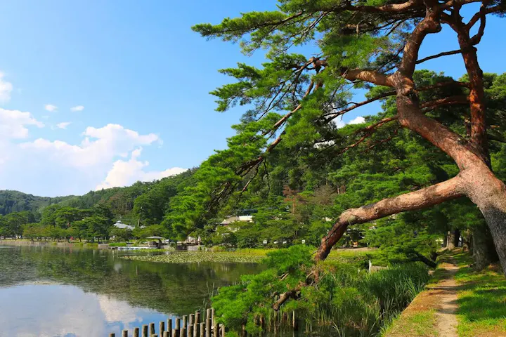 四季折々の風景を楽しめる公園