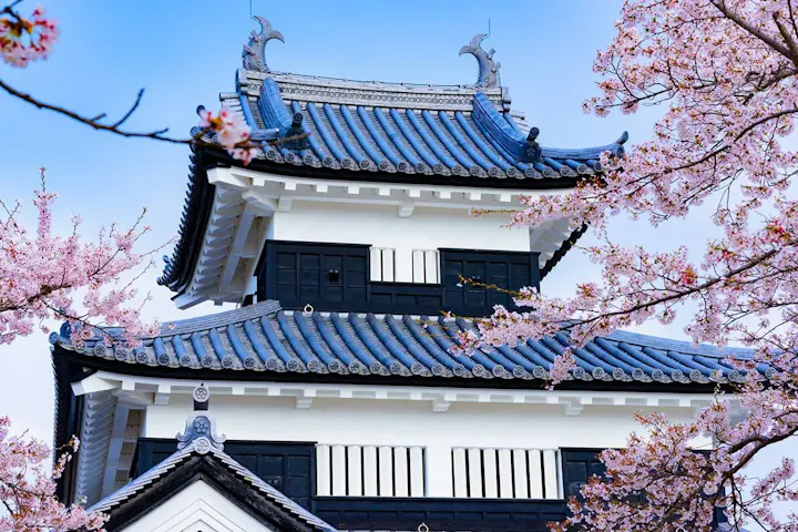 忠実に復元された御三階櫓は必見！