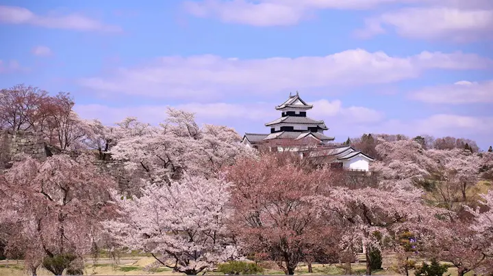 小峰城は桜の名所としても有名