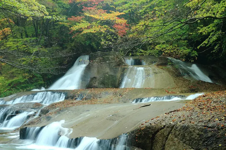 遊歩道では「熊のすべり台」が人気！