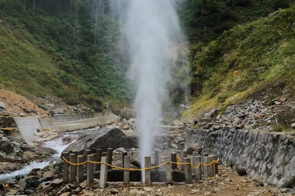地獄谷野猿公苑(写真 6)
