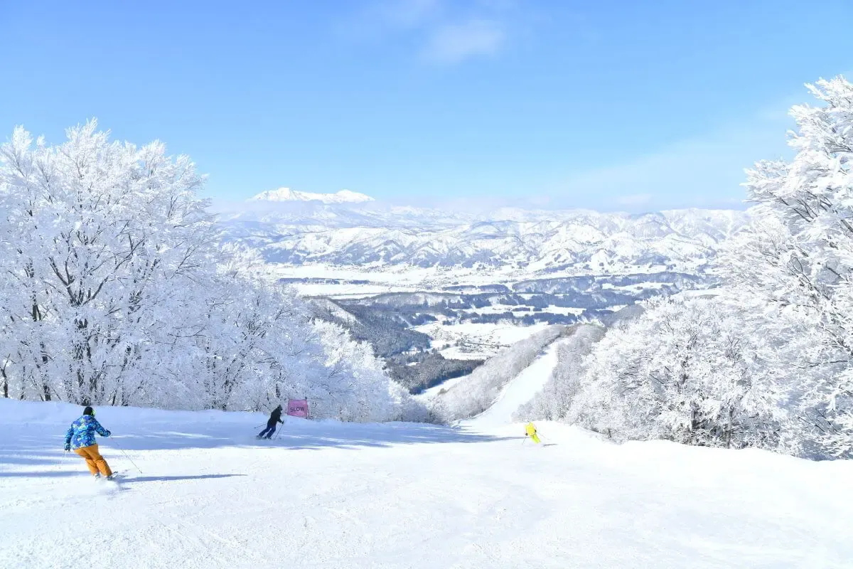 大湯(写真 5)