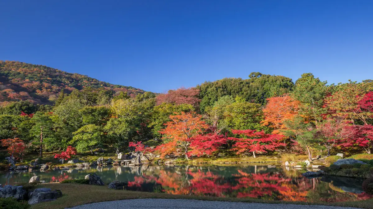 天龍寺(写真 3)