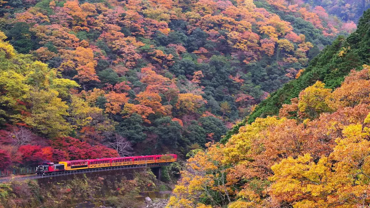 嵯峨野トロッコ列車(写真 3)