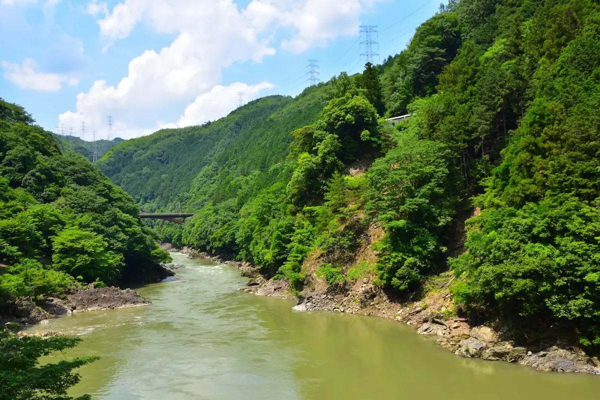 嵯峨野トロッコ列車(写真 2)