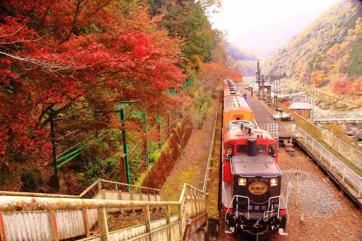 嵯峨野トロッコ列車(写真 6)