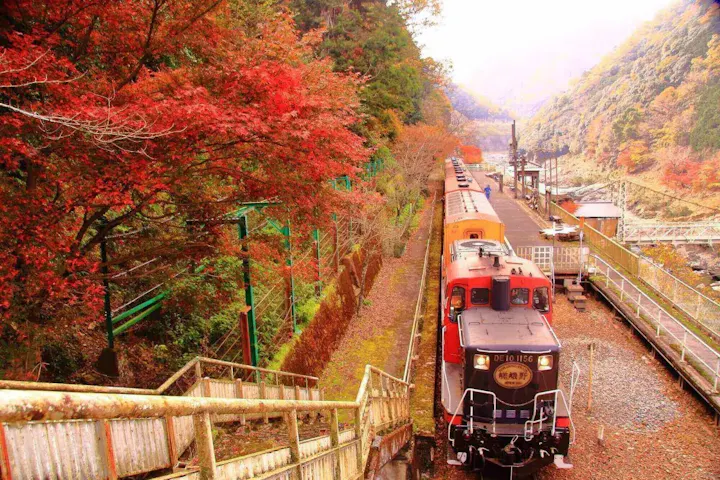 紅葉の季節も全席指定だから安心