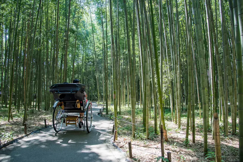 嵐山 竹林の小径