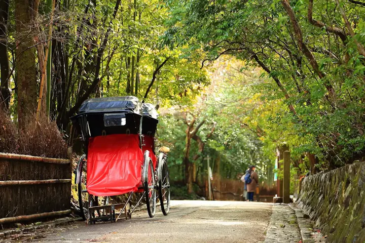 観光人力車で竹林めぐりが贅沢な時間に
