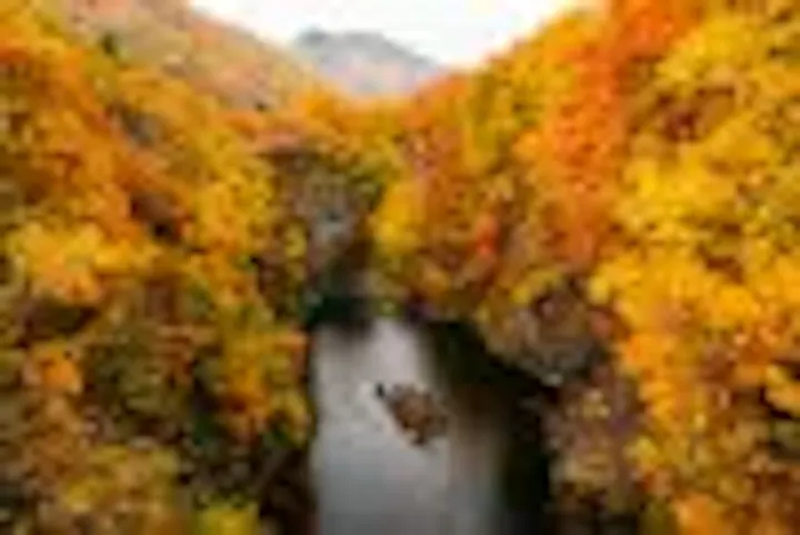 秋は紅葉を楽しむ