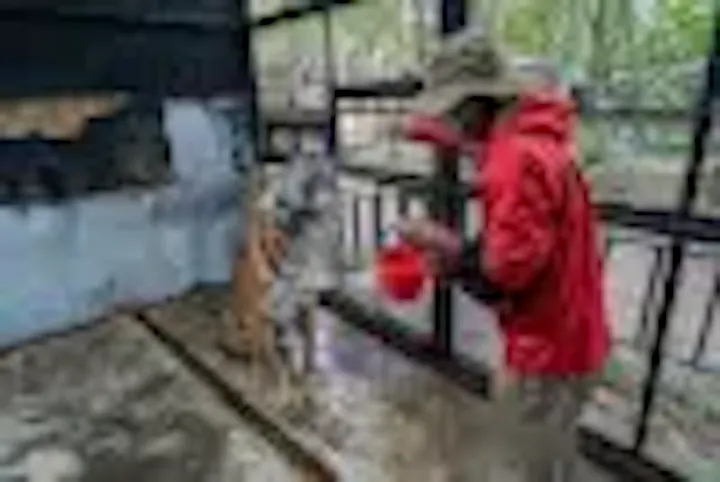 野生動物と触れ合う
