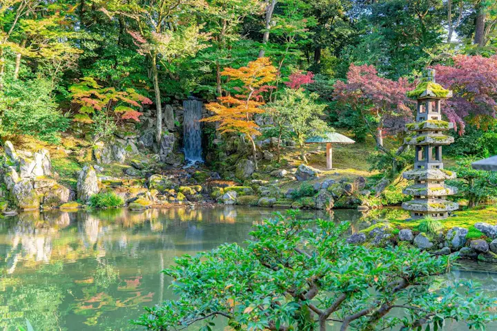 巨大な盆栽!根上松