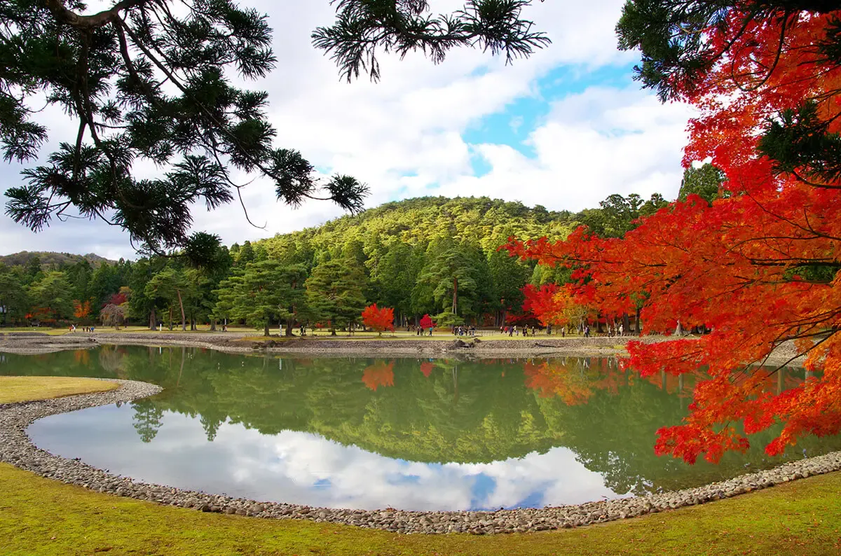 毛越寺（写真 2）