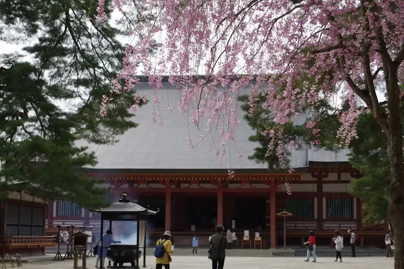 毛越寺