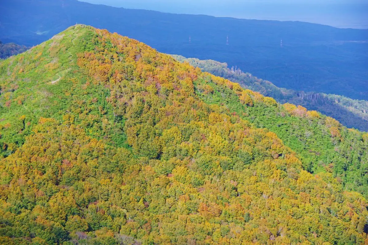釜臥山展望台(写真 4)