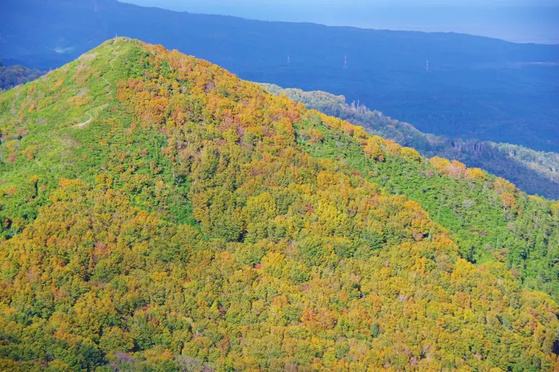 釜臥山展望台