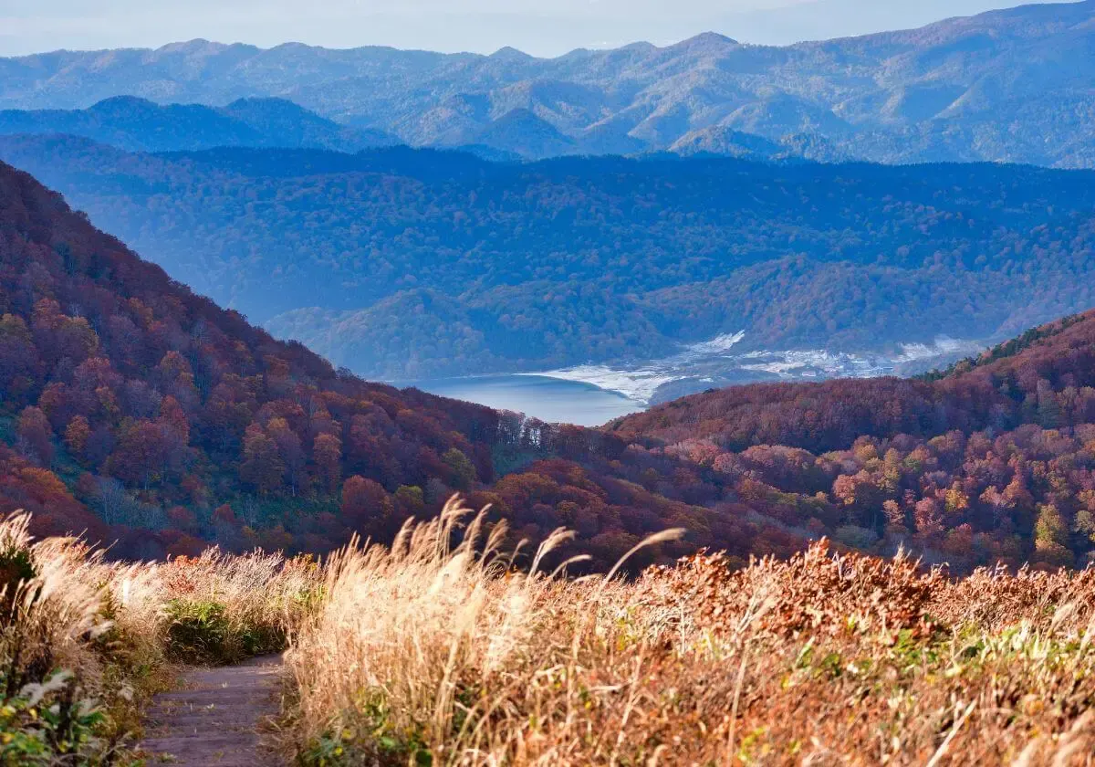 釜臥山展望台(写真 6)