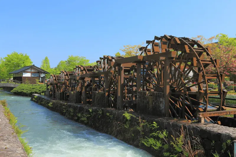 砺波チューリップ公園