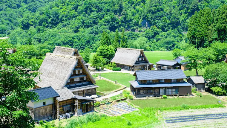 菅沼合掌造り集落
