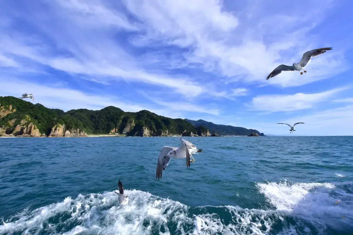 笹川流れ(写真 2)