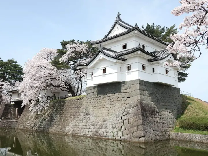 桜・菖蒲とともに見る城の情景は必見！