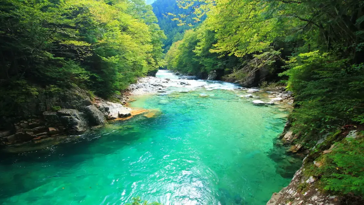 阿寺渓谷(写真 3)