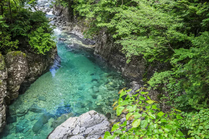 エメラルドグリーンの美しい清流