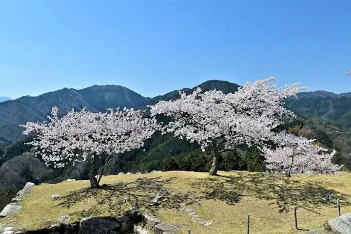 自然を満喫!四季折々の竹田城