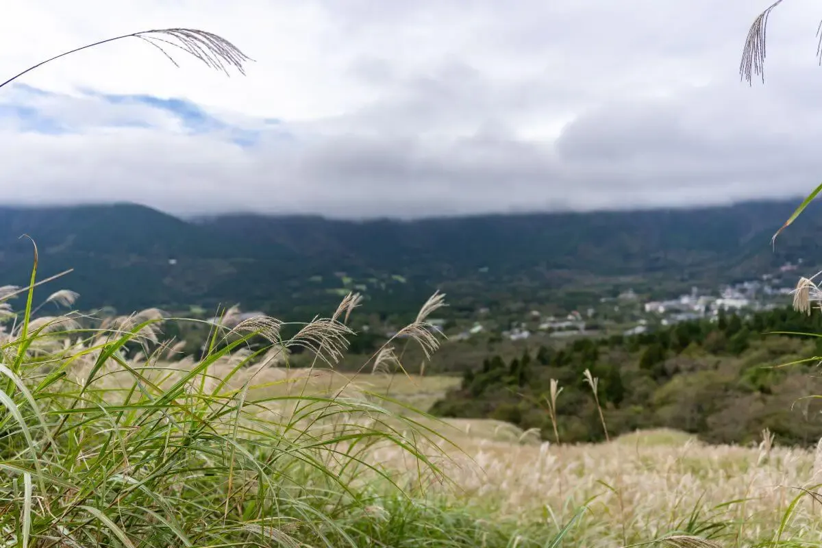 仙石原温泉