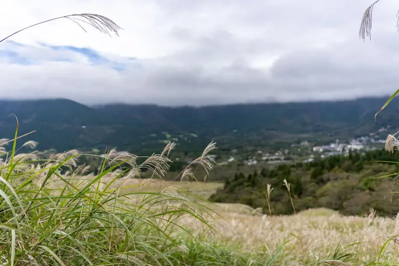 仙石原温泉