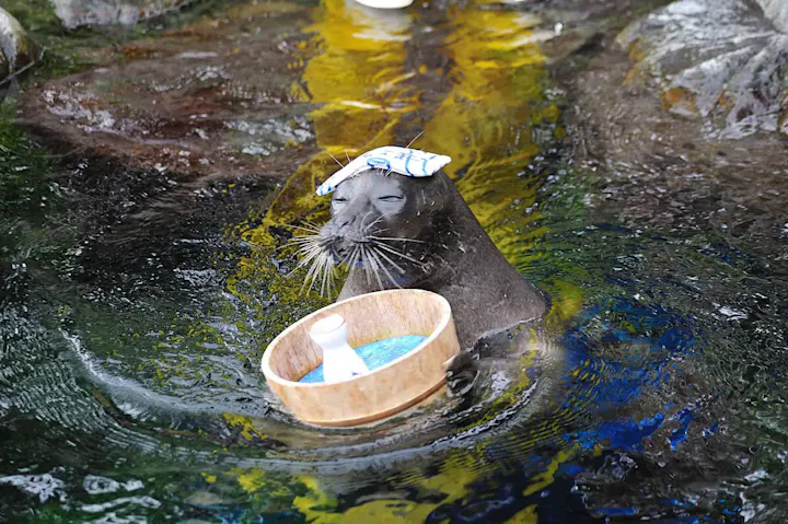さまざまなレジャーを満喫できる箱根園