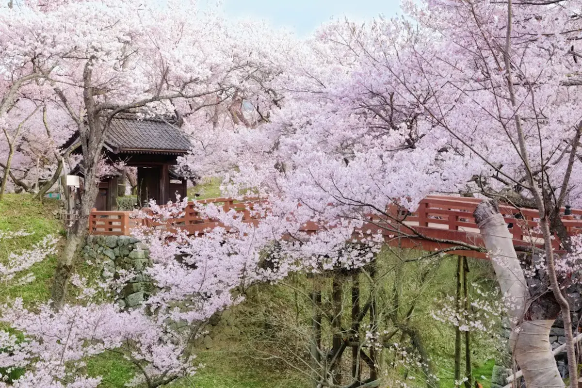 高遠城址公園（写真 3）