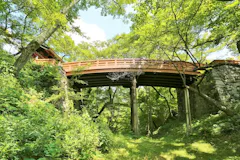 高遠城址公園