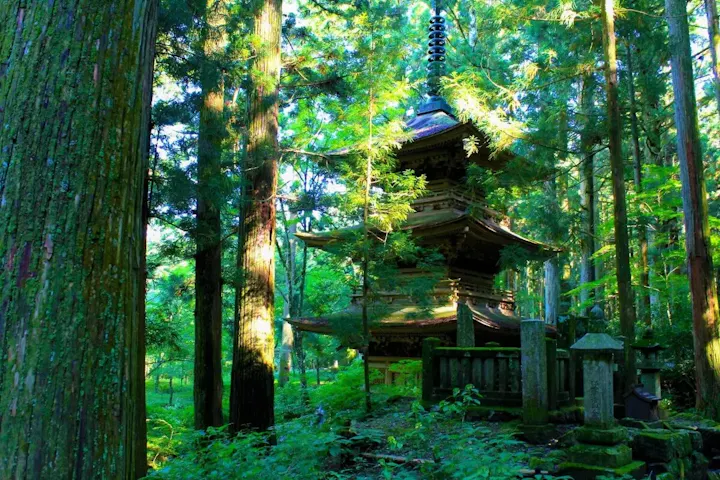 文化財の三重塔