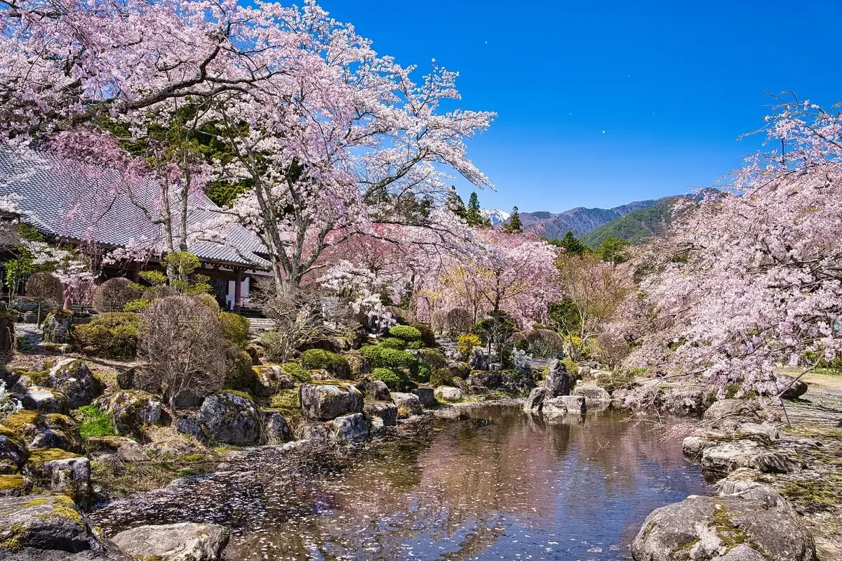 宝積山光前寺（写真 5）