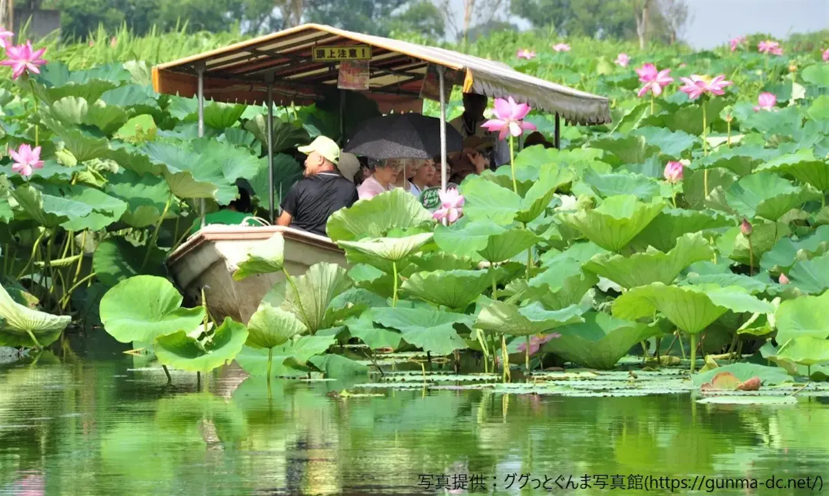 県立つつじが岡公園（写真 4）