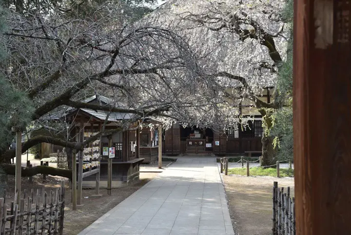 自然と調和した美しい庭園!
